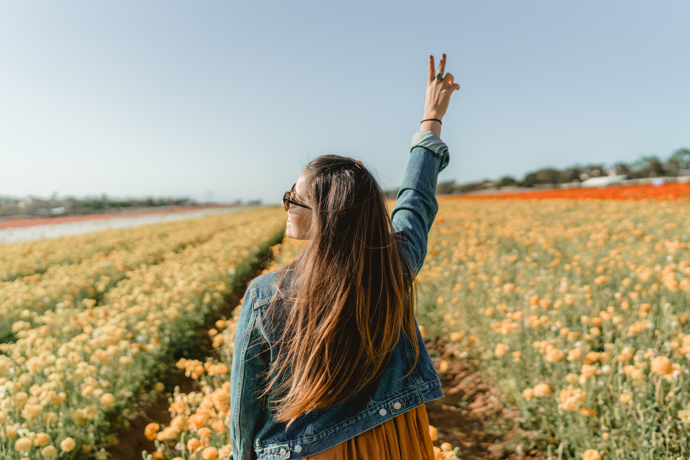 Woman Standing On Yellow Petaled Flower Garden Raising Hand